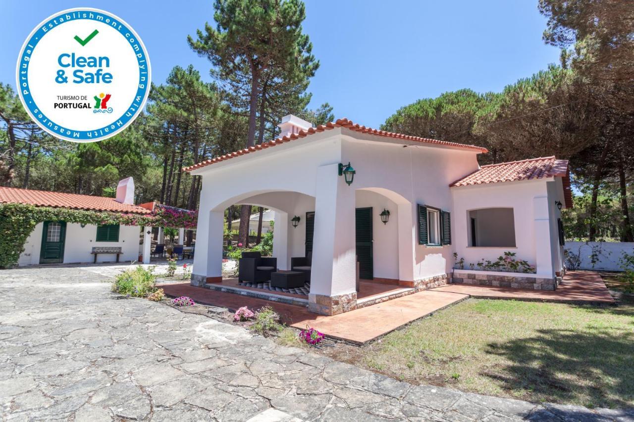 Ocean, Pines And Mountain - Renovated February 2025 - Ac Colares Exterior foto