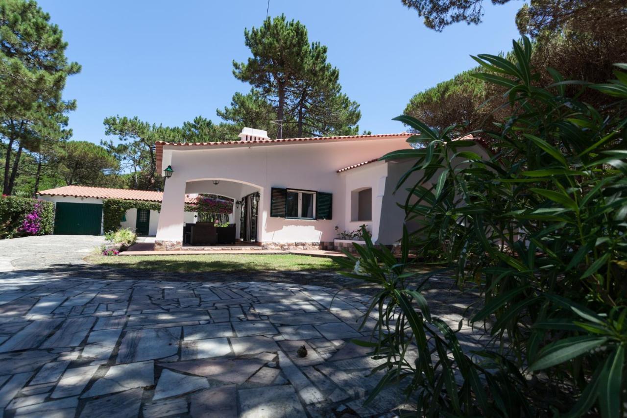 Ocean, Pines And Mountain - Renovated February 2025 - Ac Colares Exterior foto