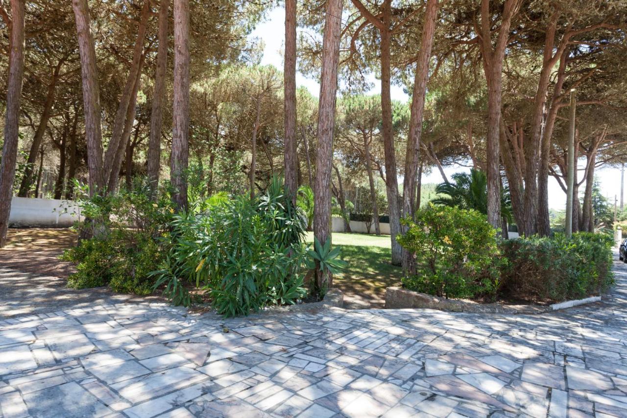 Ocean, Pines And Mountain - Renovated February 2025 - Ac Colares Exterior foto