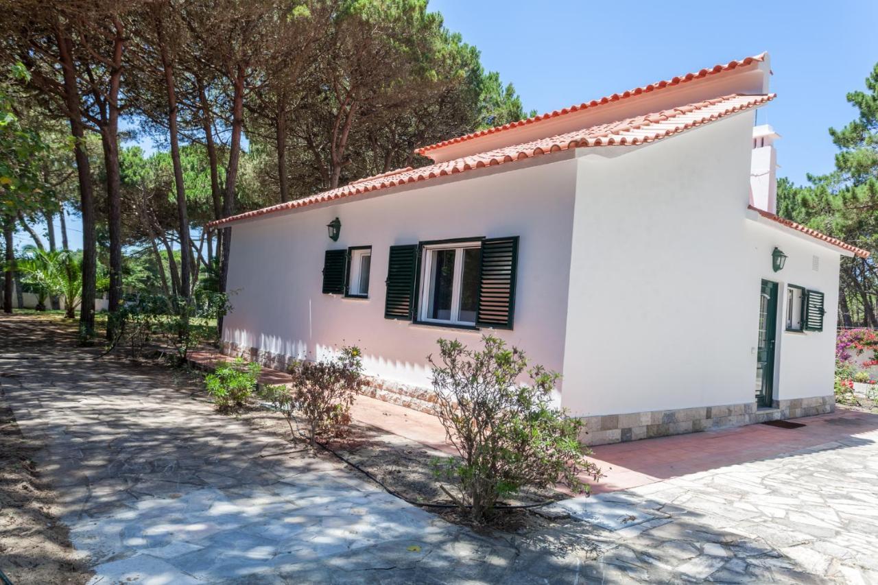 Ocean, Pines And Mountain - Renovated February 2025 - Ac Colares Exterior foto