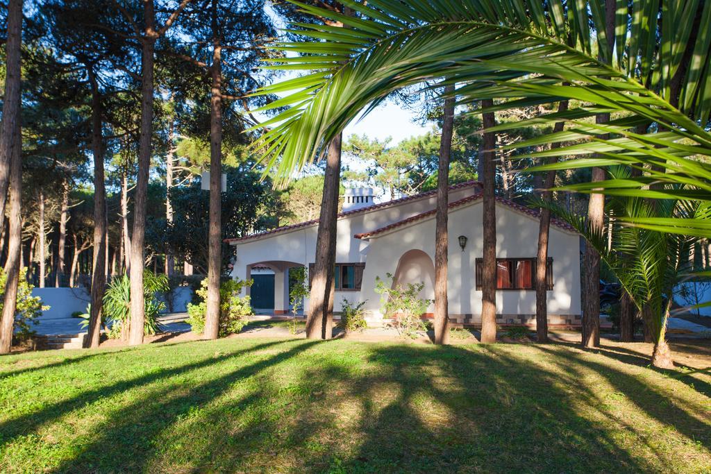 Ocean, Pines And Mountain - Renovated February 2025 - Ac Colares Exterior foto