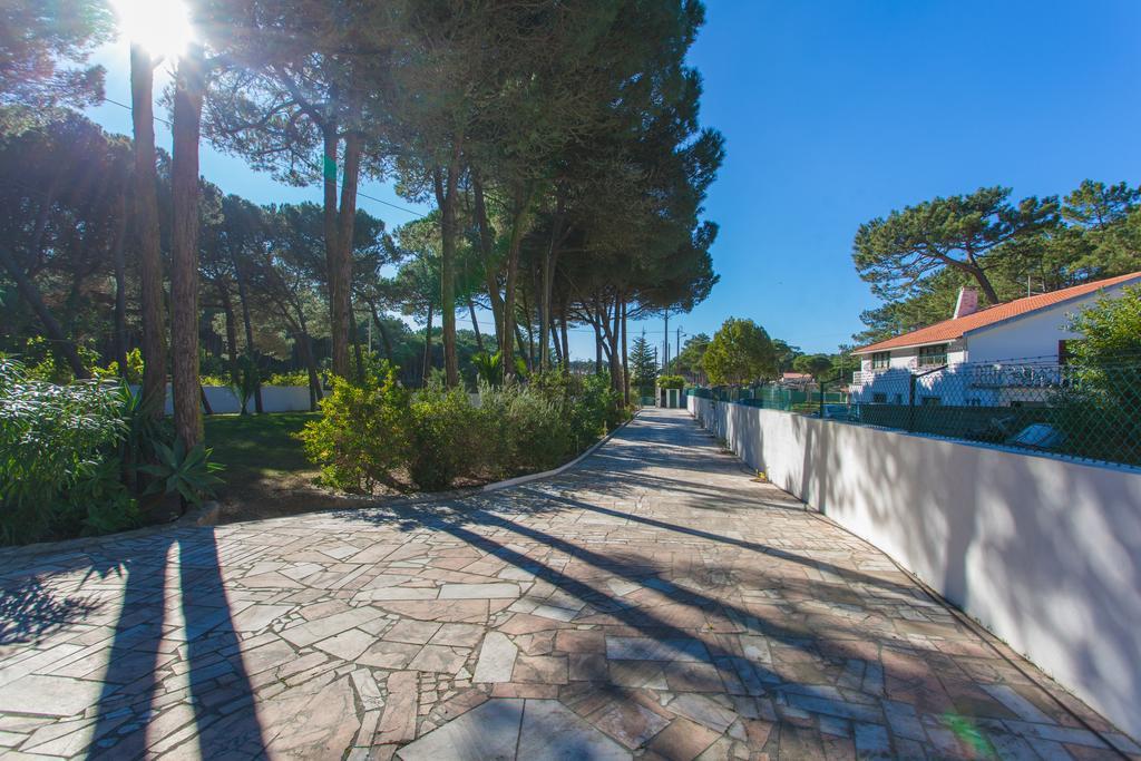 Ocean, Pines And Mountain - Renovated February 2025 - Ac Colares Exterior foto